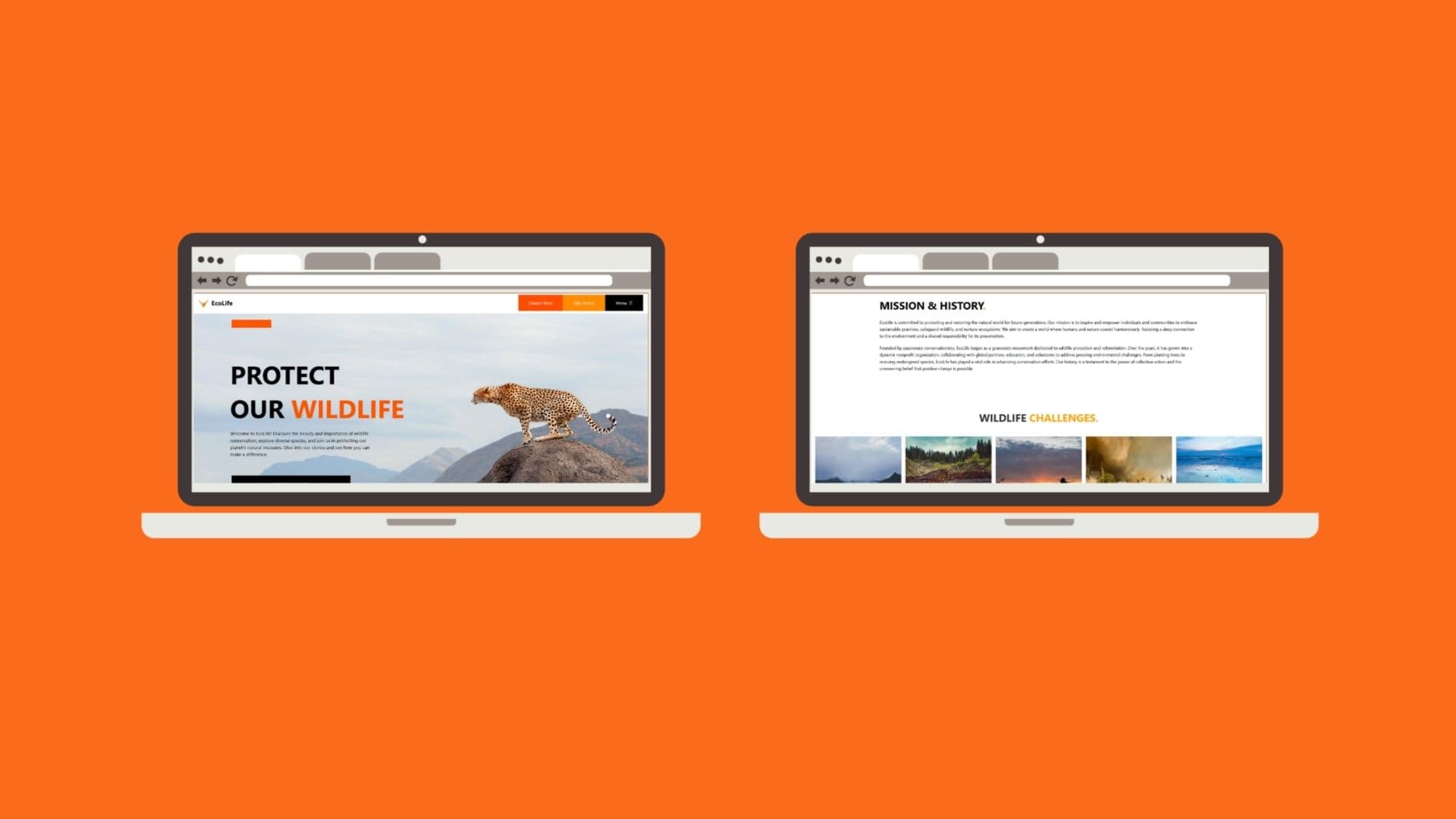EcoLife Non-profit website project by Curved Solution